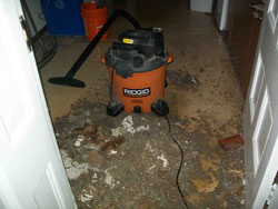 sewage