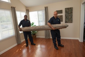 techs_carrying_area_rug